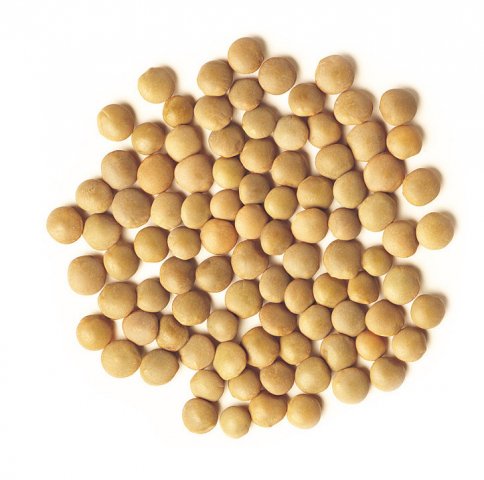 Crimson lentils